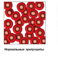 Какие продукты повышают гемоглобин в крови: диеты при железодефицитной анемии