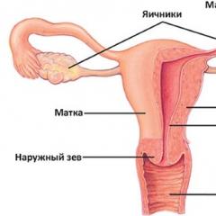Leucorrhée chez la femme - causes, traitement