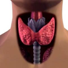 Причини, симптоми и лечение на щитовидните възли