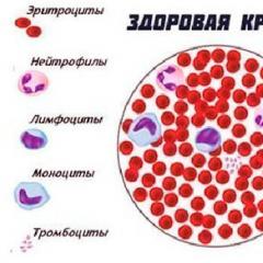 التغذية العلاجية لأمراض الجهاز المكونة للدم مبادئ التغذية لمرضى أمراض الدم