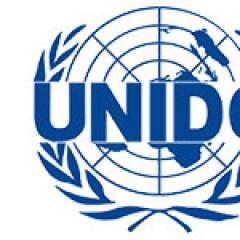Стандарти на ООН (UNIDO) за писане на бизнес план