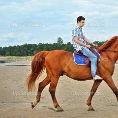Модерен съновник за езда на кон