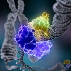 Епигенетика: какво движи генетичния ни код?