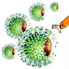 فيروس كوكساكي لدى الأطفال: مسارات العدوى ، مسار المرض ، العلاج