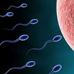 Causes de l'infertilité chez les hommes